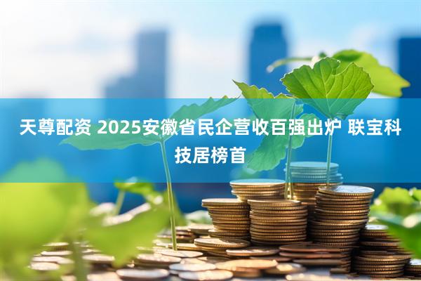 天尊配资 2025安徽省民企营收百强出炉 联宝科技居榜首