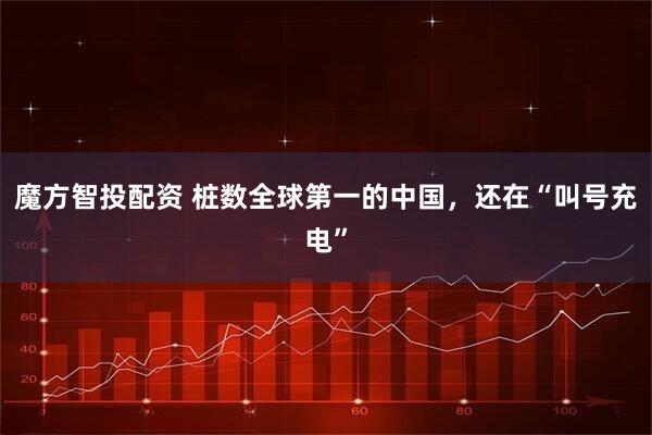 魔方智投配资 桩数全球第一的中国，还在“叫号充电”