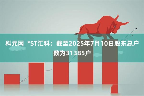 科元网  *ST汇科：截至2025年7月10日股东总户数为31385户